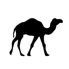 Camel Silhouette Vector