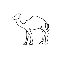 Camel Hand drawn illustration.