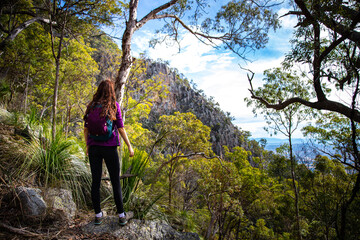 brave fit girl hiking through the bush to the top of mount maroon; rock scrambling in mount barney...