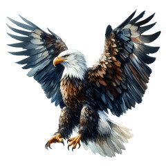 Obraz premium American Bald Eagle soaring in white space, depicted in cartoon style with detailed feathers and majestic wings, symbolizing freedom and nature's grace
