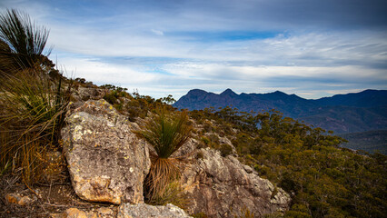 panorama of mountains in mount barney national park as seen from the top of mount maroon; unique ladscape of south east queensland near brisbane and gold coast