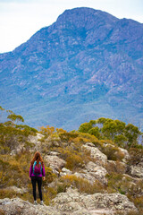 Naklejka na ściany i meble backpacker girl admiring the panorama of mountains in mount barney national park from the summit of mount maroon, queensland, australia