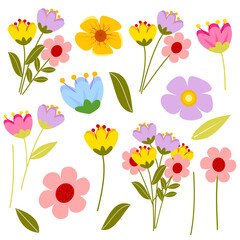 Hand drawn of floral elements  vector set. flower graphic design.