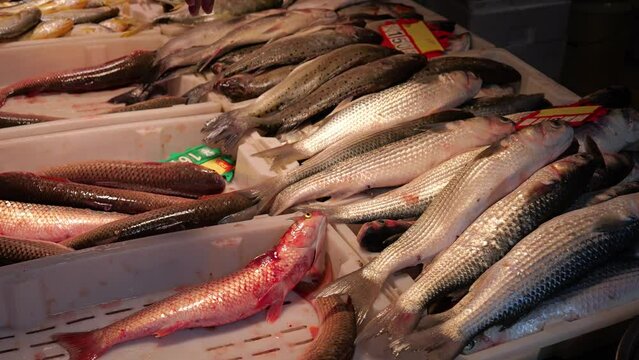 Fresh chinese fish on a market stall