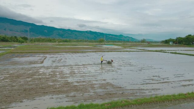 Farmers cultivate rice fields using machines