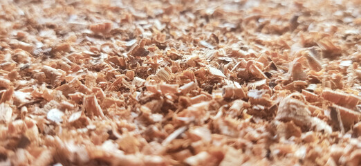 Sawdust