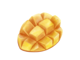 花咲カット（さいの目切り）されたマンゴーのリアルな水彩イラスト