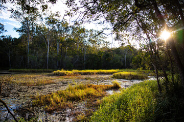 beautiful sunset over enoggera reservoir in brisbane, queensland, australia; 