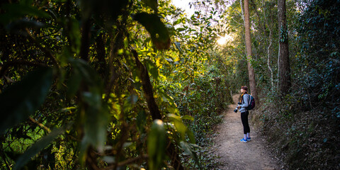 wildlid photographer looking for wild native animals and birds during afternoon walk at enoggera...