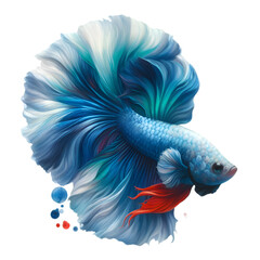 Obraz premium Colorful Siamese Fighting Fish Illustration with Floral Pattern and Water Swirls