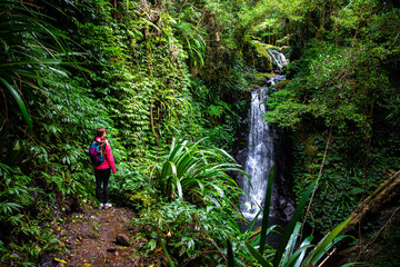 relaxed hiker girl sitting in front of a tropical waterfall; toolona creek circuit in green...
