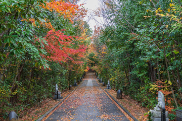 Naklejka premium 輪王寺 晩秋 
