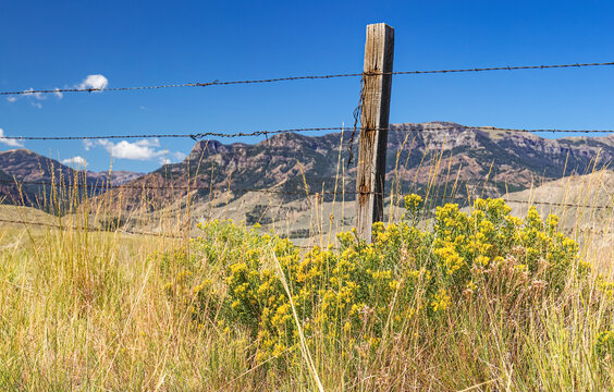 Barbed wire and wood post with an autumn sagebrush blooming in the mountain landscape of Wyoming, USA. 
