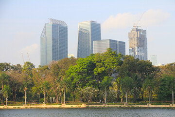 Fototapeta na wymiar Modern Skyline near Lumphini MRT Station as Viewed from Benchakitti Forest Park, Bangkok, Thailand