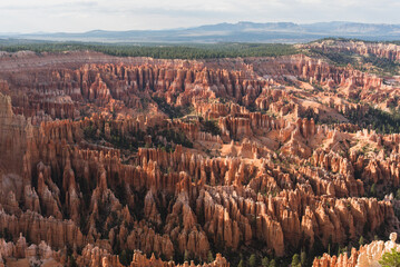 The Canyons