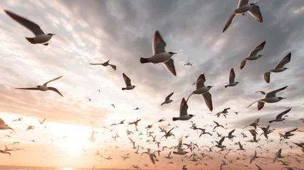 Fotobehang Photo of a flock of birds flying in the sky © andri