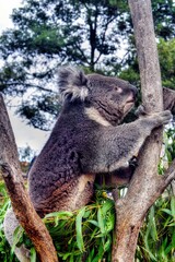 Hobart, Australia