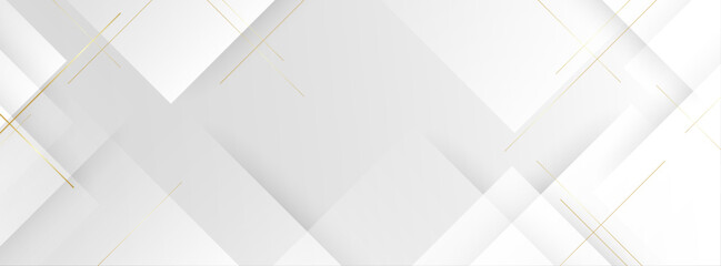 Fototapeta premium Gray and white gradient background, pattern slash effect.Simple design. Vector,eps10