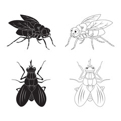 fly icon