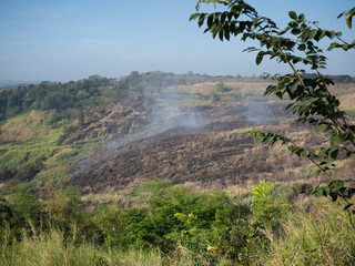 Burning plan and Smoke.
