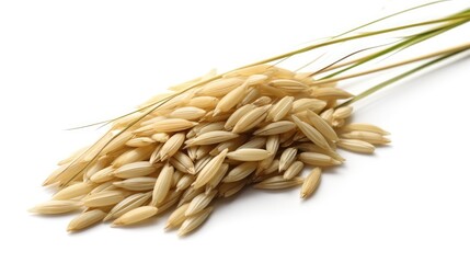 Photo of paddy rice isolated on white background.