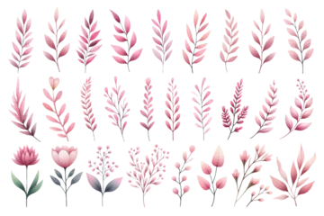 Fotobehang Watercolor illustration material set of pink botanical motifs © Lapis