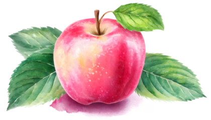 Red apple with leaves watercolor illustration isolated on white transparent background