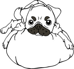 A dressed pug stares at its owner on a cushion, Line drawing illustration, Vector