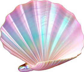 shell,rainbow holographic of shell pearl isolated on white or transparent background,transparency 