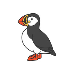 Puffin isolated on white background. Vector illustration in cartoon style.