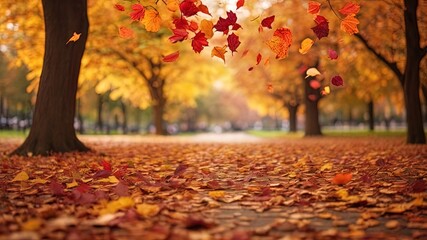 golden autumn leaves illuminated by sunlight. The leaves form a warm, serene carpet on the ground, creating a scenic landscape. Ideal for seasonal themes, backgrounds, and adding an aesthetic touch to