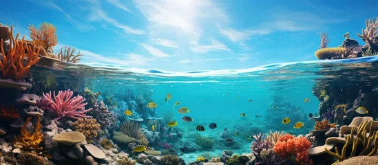 Rolgordijnen tropical sea coral reef underwater background ocean diving © MBRAMO