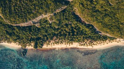 Caribbean beach in the paradise