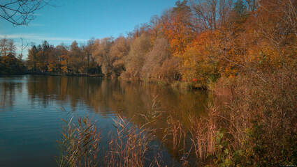 Fototapeta na wymiar Outono na lagoa 