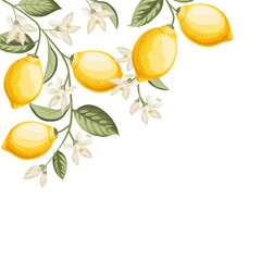 Lemon frame illustration. hand-drawn citrus. - 749736840