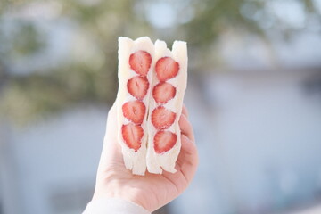 Japanese Strawberry Fruit Sandwich or Fruit Sando 草莓
