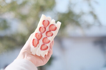 Japanese Strawberry Fruit Sandwich or Fruit Sando 草莓
