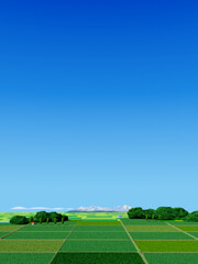 広い畑と青い空の景色