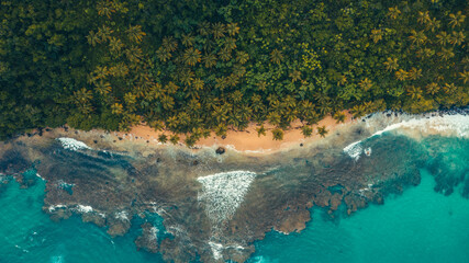 Caribbean beach in the paradise