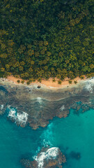 Caribbean beach in the paradise