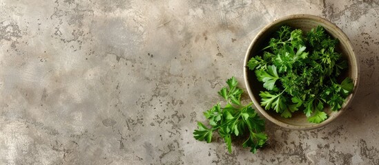 A ceramic bowl filled with fresh parsley sits on a sleek marble surface. The vibrant green herb contrasts beautifully against the white marble, offering a simple yet elegant display.