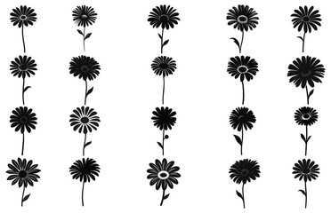Gerbera flower silhouette. Floral vector background with daisy.Vector set of gerbera flowers with stems isolated on a white background.
