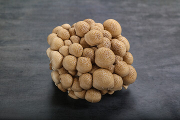 Fototapeta na wymiar Raw asiam delicacy mushroom Shimeji