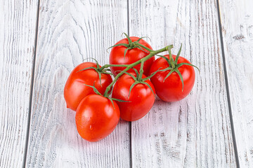 Raw red Flamenco tomato branch