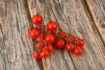 Ripe sweet Cherry tomato branch