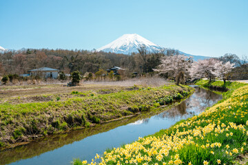 Fototapeta premium Spring of Oshino Hakkai countryside village and Fuji Mountain in Yamanashi, Japan