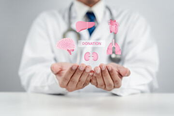 Organs donation concept. Doctor hands holding virtual donation word surrounded by human internal...