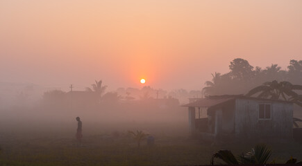 Landscape with sunrise in rural farmland in India. Foggy sunrise at Goa Plantations. Early morning...