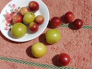 Fruit of the Ziziphus mauritiana, or fruit of Indian jujube,Indian plum,Chinese date,Chinese apple,ber fruit,dunks