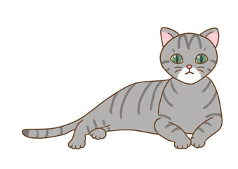 The cat with green eyes with gray stripes cat is in a relaxed position, raising his upper body and staring straight at the front.